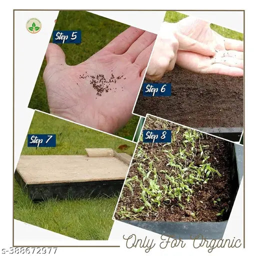 Premium Flower Seeds Mix | High Germination | Easy to Grow