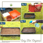 Premium Flower Seeds Mix | High Germination | Easy to Grow