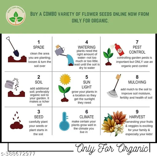 Premium Flower Seeds Mix | High Germination | Easy to Grow