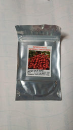 Waterfall Tomato Seeds | Hanging Tomato Plant | High Germination