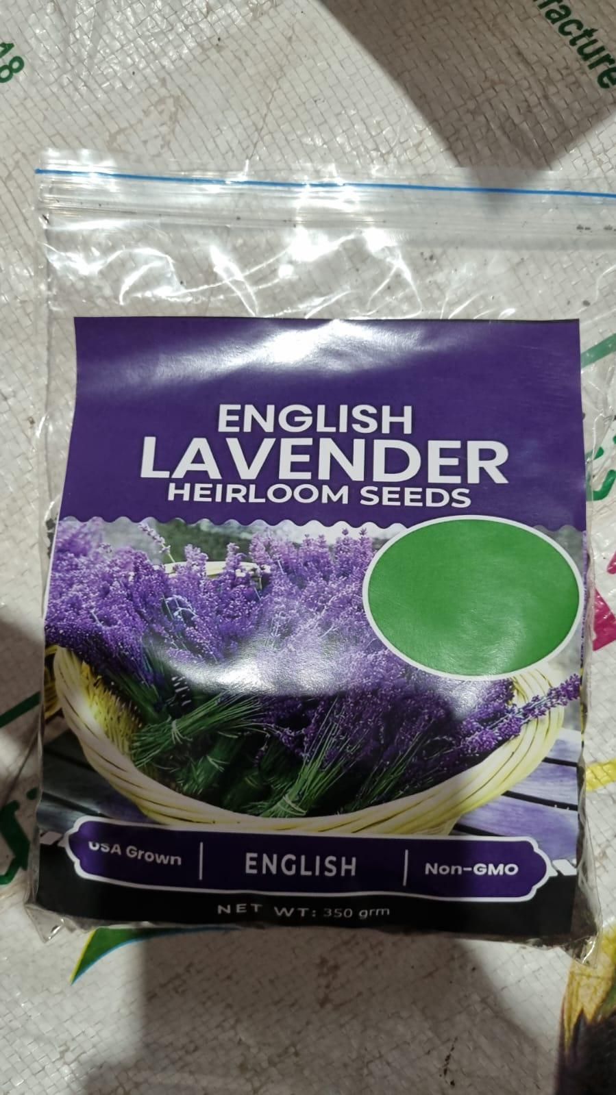 Premium Lavender Seeds 350gm | Fragrant Flowers | High Germination