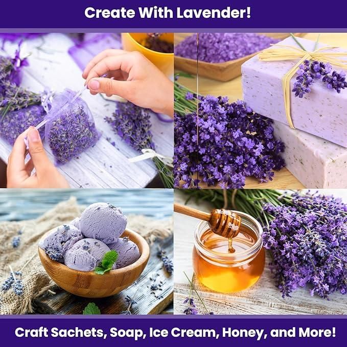 Premium Lavender Seeds 350gm | Fragrant Flowers | High Germination