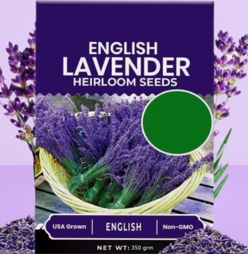 Premium Lavender Seeds 350gm | Fragrant Flowers | High Germination