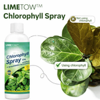 Chlorophyll Spray 100ML | Plant Growth Booster | Leaf Health Spray | All Plants