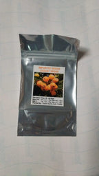 Apricot Seeds for Planting | Fruit Tree Seeds | High Germination