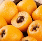 Apricot Seeds for Planting | Fruit Tree Seeds | High Germination