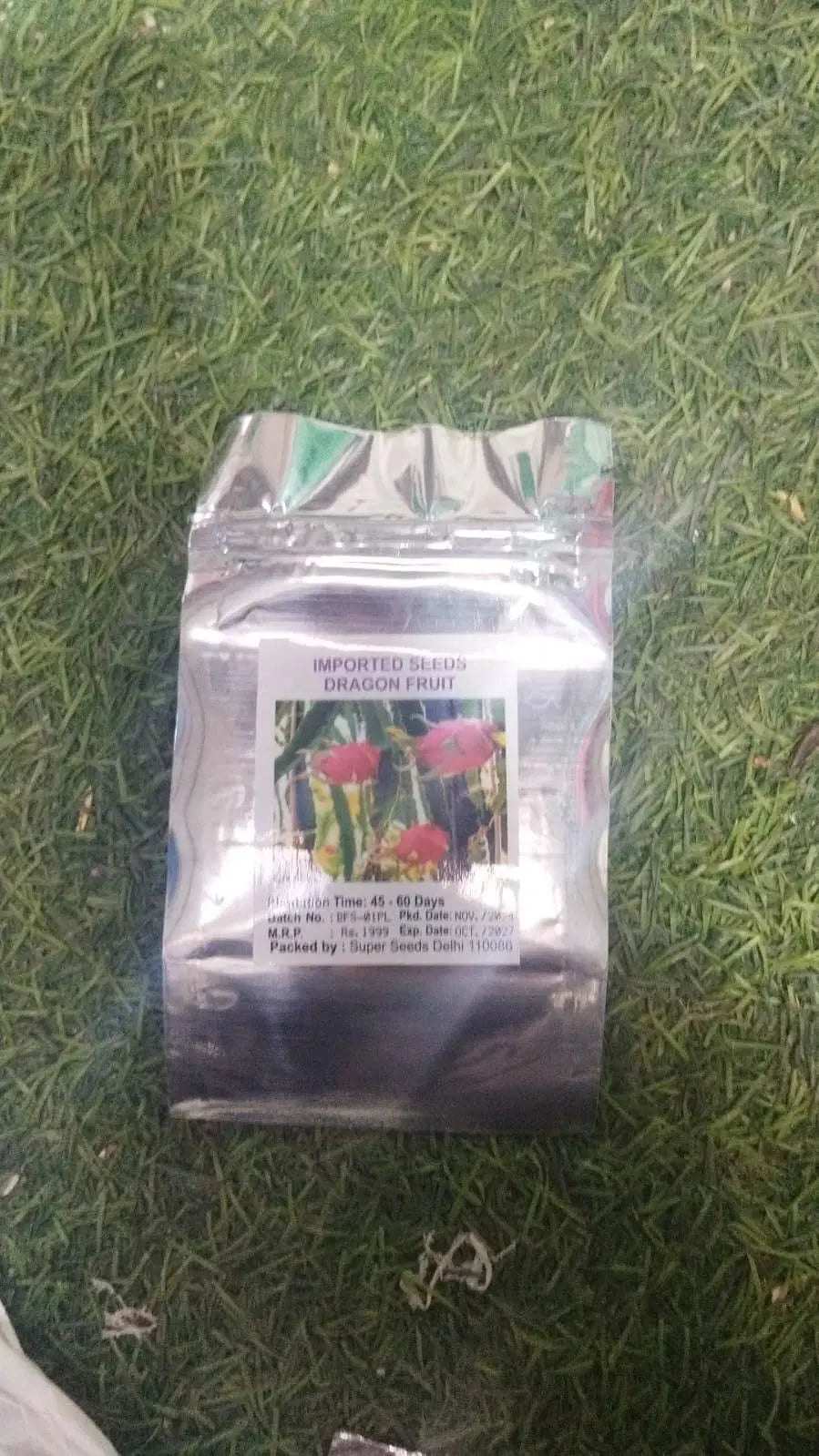 Multi Color Dragon Fruit Seeds | Exotic Fruit Plant | High Germination