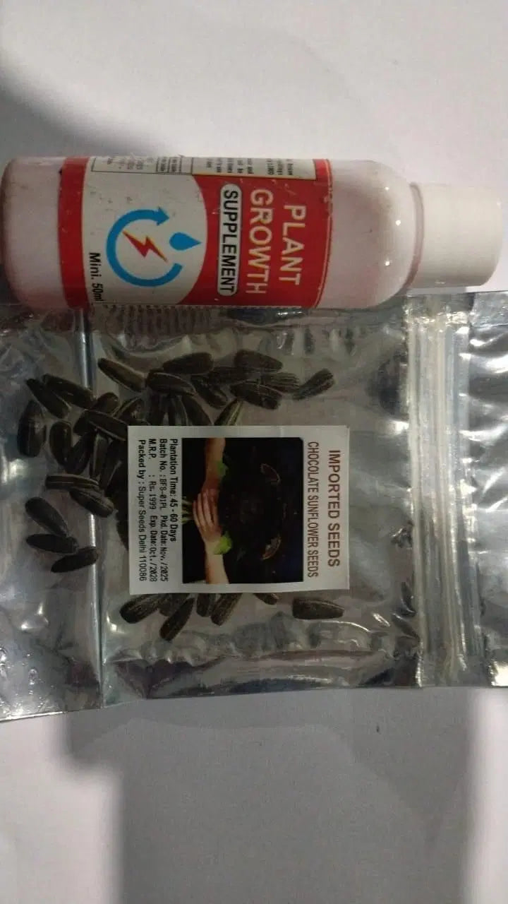 Chocolate Sunflower Seeds | Dark Brown Sunflower | High Germination